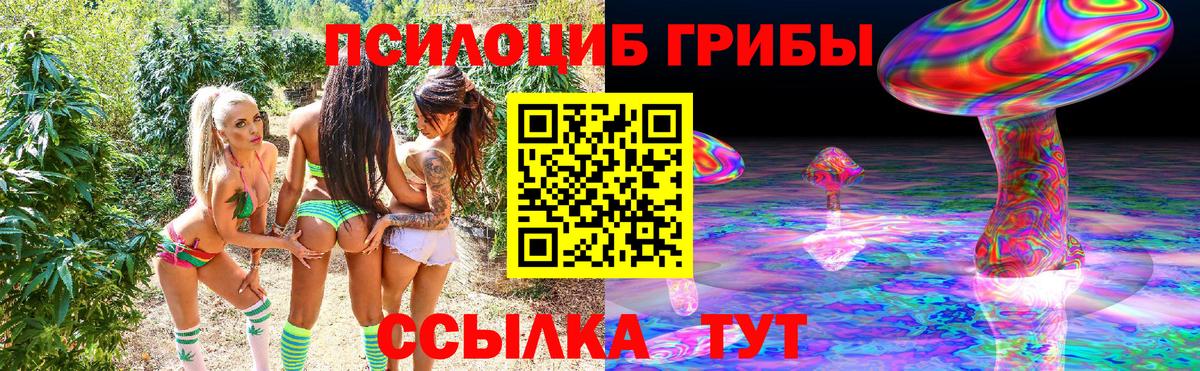 Псилоцибиновые грибы мухоморы Абинск