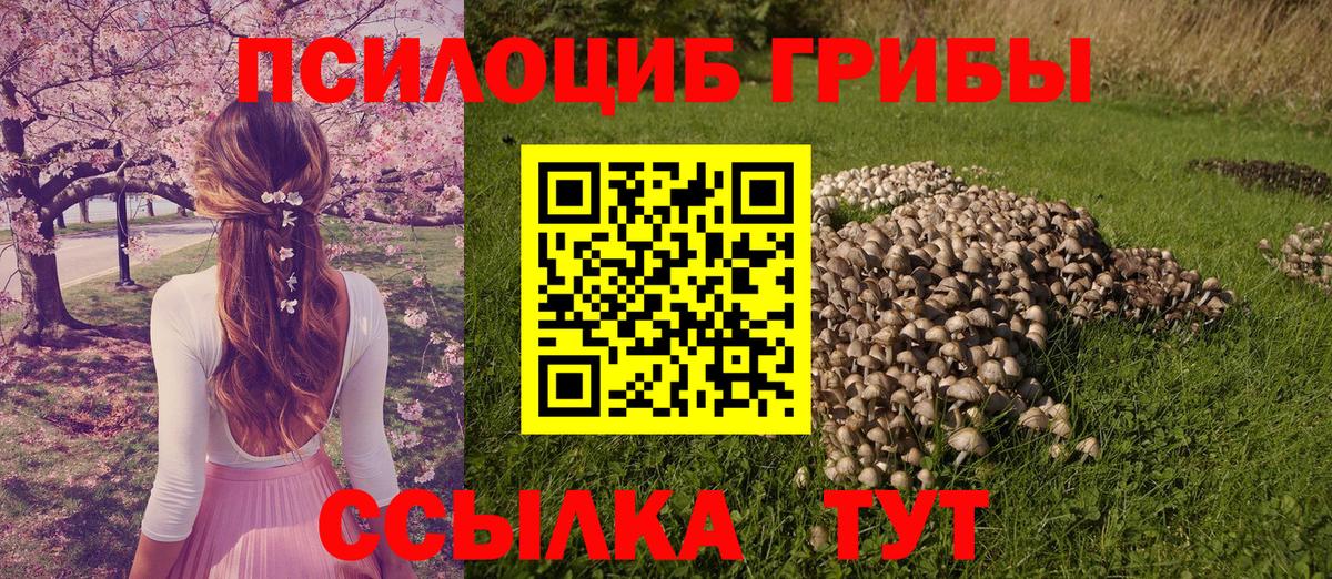 Псилоцибиновые грибы MAGIC MUSHROOMS  Галлюциногенные грибы Psilocybe  Вход с VPN  Абинск 